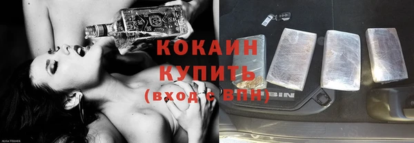 стаф Алексин