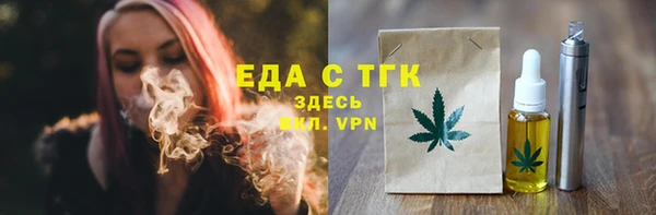 индика Абаза