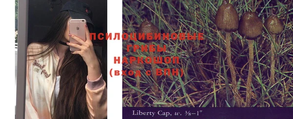 шишки Алексеевка